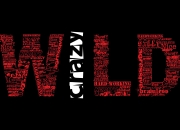 英雄联盟总决赛直播-北欧防线颤抖之夜，巴西铁腰法比尼奥的爆发与莱比锡红牛的瑞典粉碎机