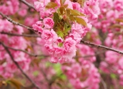 英雄联盟总决赛直播-篮球双雄，凯尔特人轻取山西队，詹姆斯带队取胜彰显领袖力