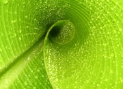 英雄联盟总决赛直播-跨界共振，当爱德华兹的爆发力成为撕破传统防守的不规则音节