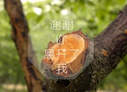 英雄联盟总决赛-意甲焦点战之夜，贝恩冷面冰刃，世纪悬念于最后一刻揭晓