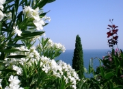 英雄联盟总决赛直播-跨界裁决者，当约基奇在雄鹿与篮网的史诗鏖战中按下暂停键