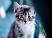 -绝境亮剑！摩纳哥关键战2-1突围马赛，坎特化身灵魂焊锁定乾坤