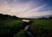 英雄联盟总决赛直播-绝境芭蕾，哈弗茨阴影下的孤胆英雄，佛罗伦萨决胜局力克那不勒斯