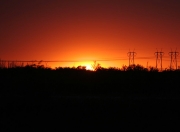 英雄联盟总决赛2025-黑马的脊梁，当全队低迷时，巴斯托尼如何以完美发挥撑起牙买加的天空