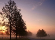 英雄联盟总决赛2025-极速思维，F1揭幕战之夜与拉文的攻防转换艺术