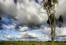 英雄联盟总决赛时间-棋至终局，胜天半子，广东队生死战掀翻辽宁背后的唯一性启示