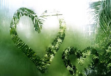 内马尔点燃！圣殿狂欢夜诠释足球信仰