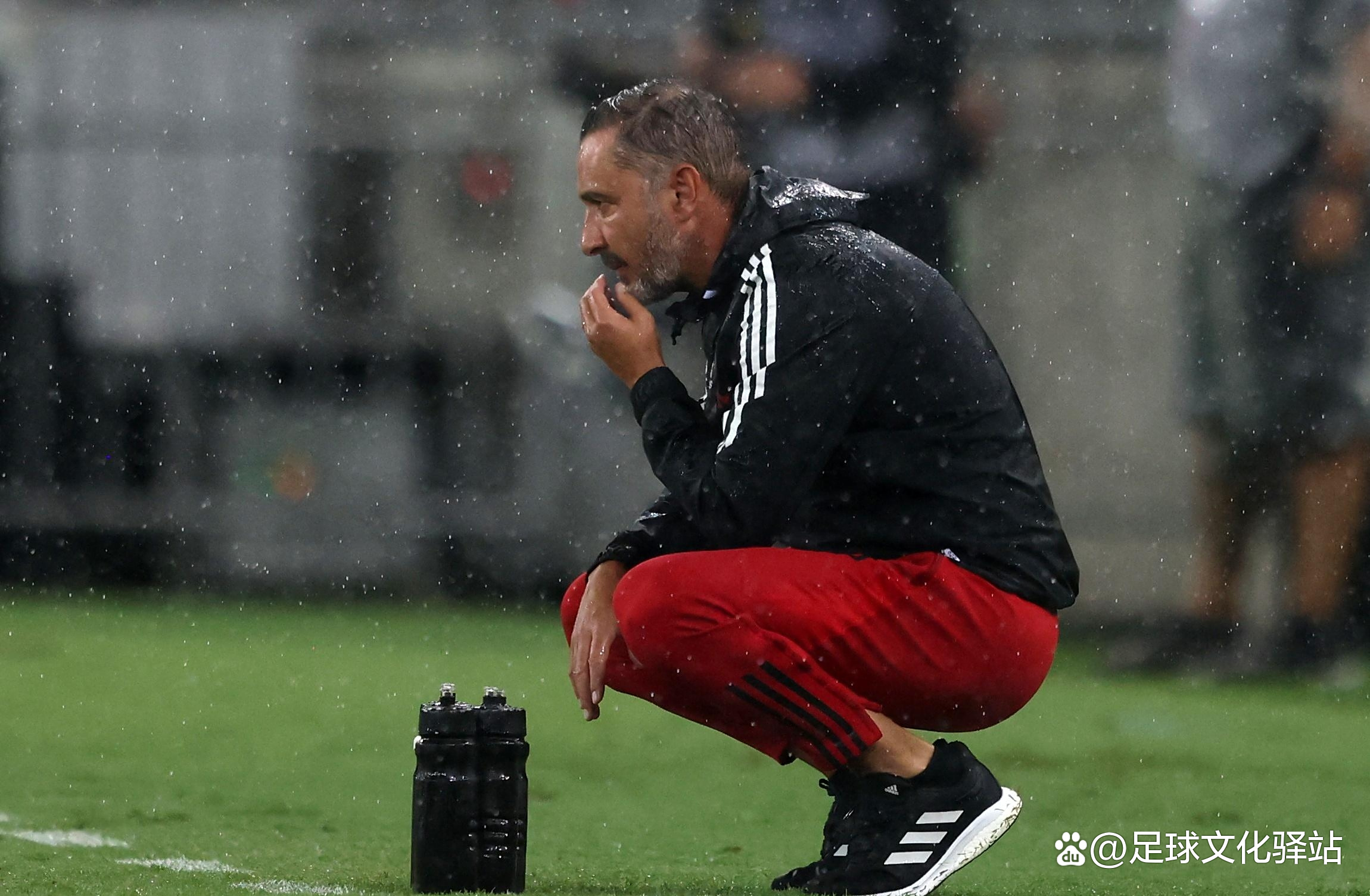 阿森纳青训崛起，助球队逐渐崭露头角的简单介绍