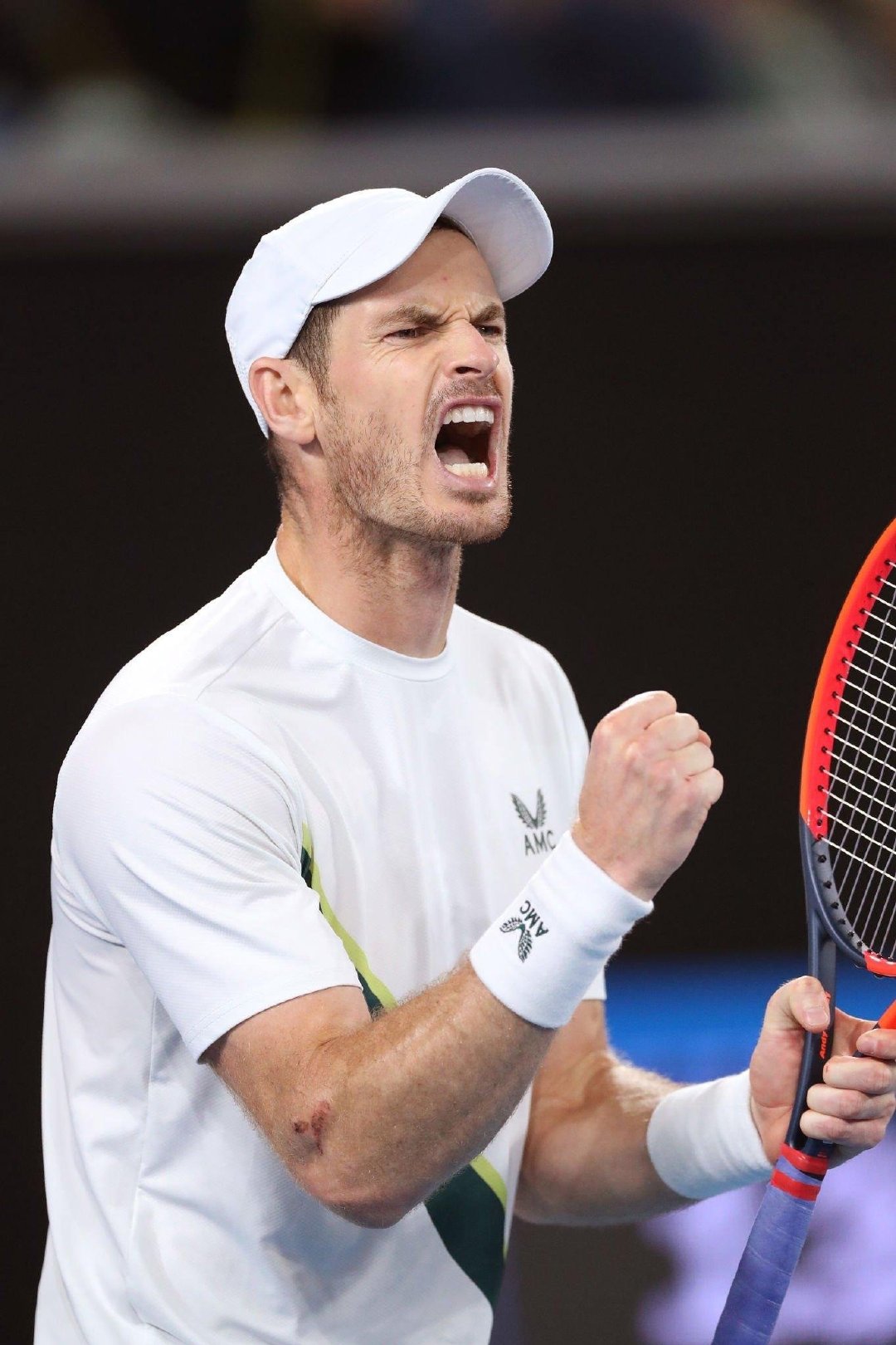 澳网碾压戴维斯杯,穆雷扛起全队 澳网碾压戴维斯杯,穆雷扛起全队