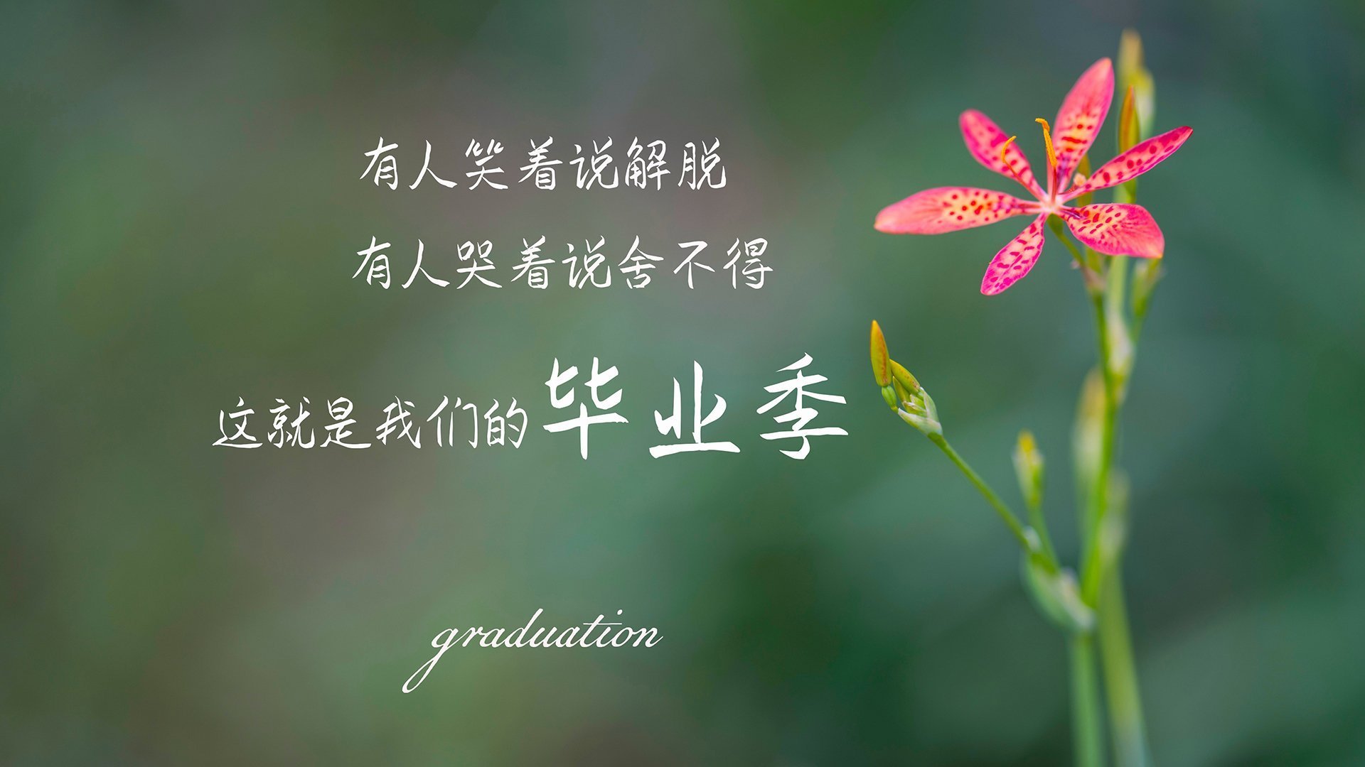 赛道与球场的交响,F1街道赛焦点战中的骑士险胜活塞