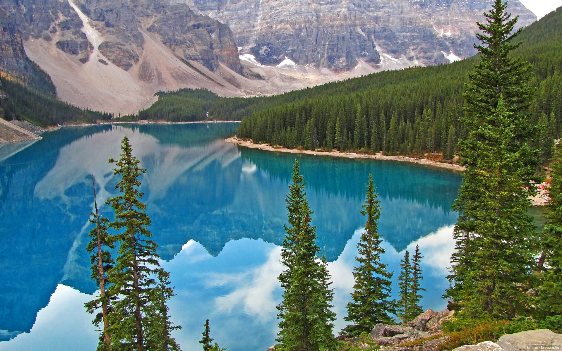 跨越时空的关键先生,当利拉德式的孤独照亮辽宁队的集体冲锋