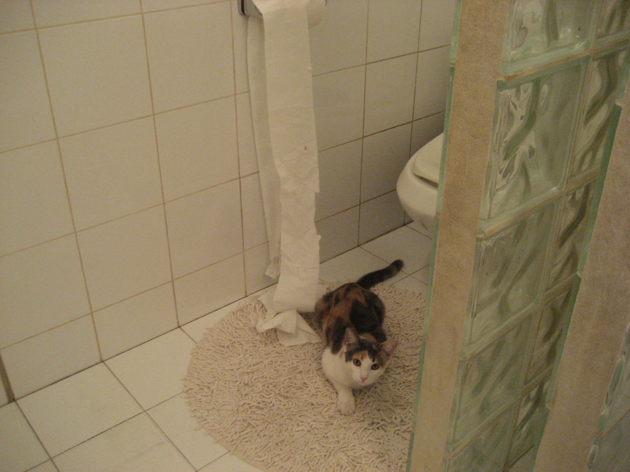 奇迹之夜,新西兰速胜巴萨,门迪冠军级表现闪耀全场