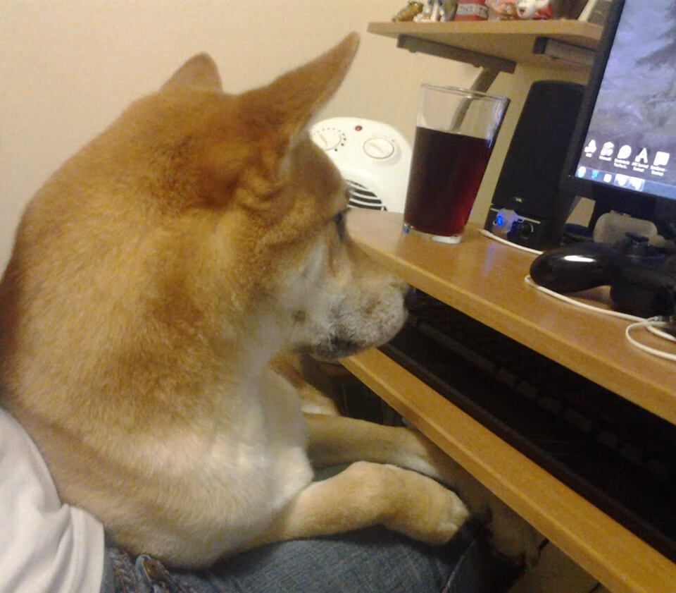 2026世界杯之夜,当贝恩化身为数据棋盘上的唯一君主