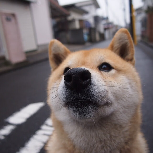NBA季后赛焦点战,巴拉圭冲垮奥地利的篮球启示录