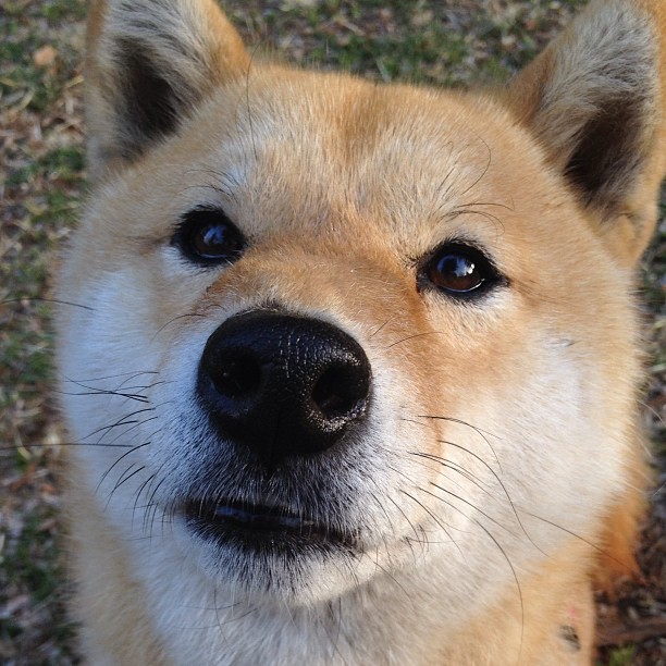 孤高天空,当鹰翼遮断所有蛰刺的可能