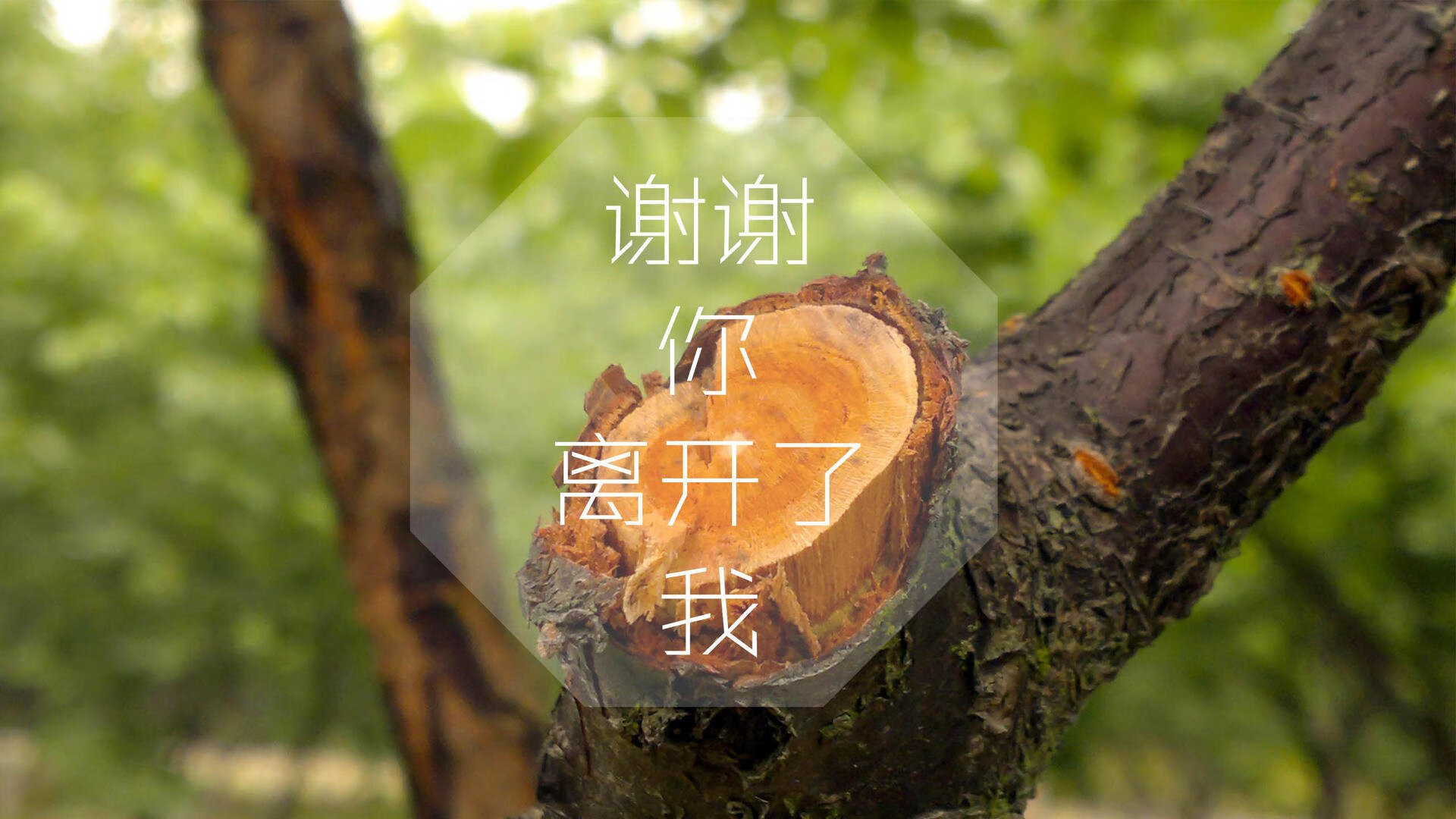 多重方案，择一最优）